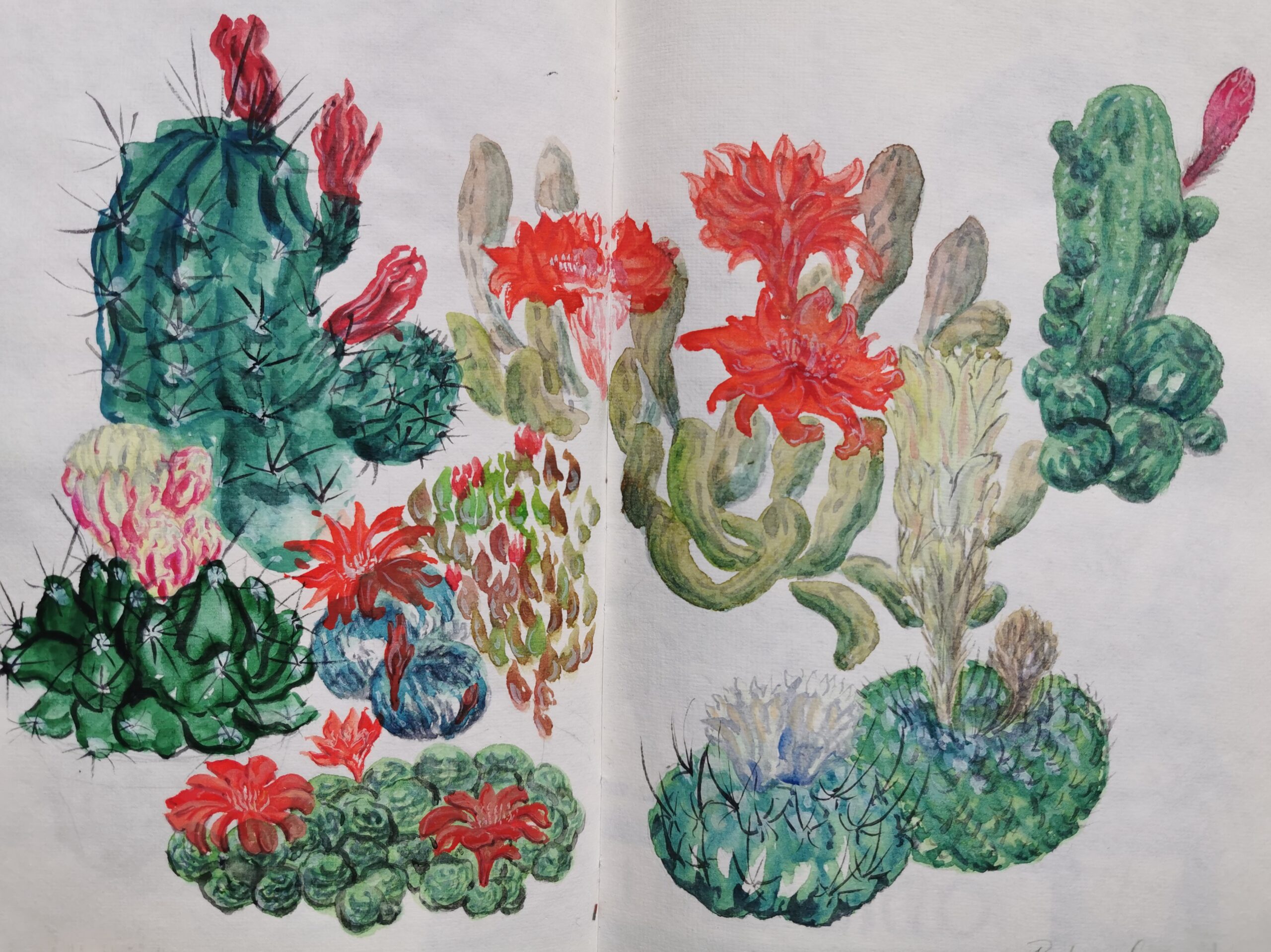 „Stachelige Schönheiten in Aquarell – Ein Tag mit Kakteen, Farbe und Form“